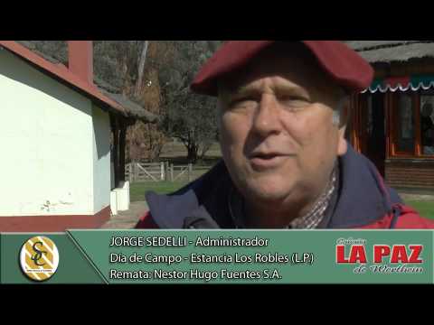 17-08-18 Nota Jorge Sedelli - Administrador - Cabaña La Paz de Werthein - La Gloria