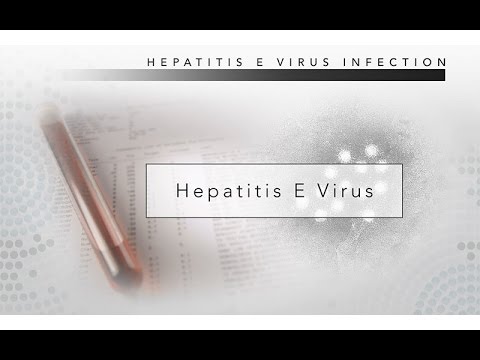 Hepatitis E: CDC Viral Hepatitis Serology Training