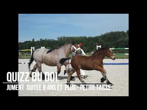 Concours national cheval de trait Ardennais - Vittel 2016