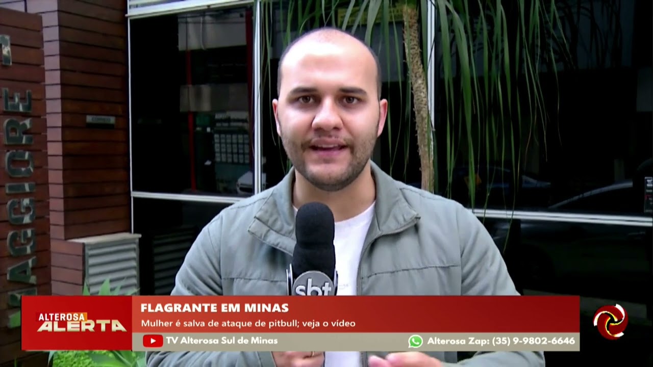 Mulher é salva de ataque de cão da raça pitbull em Minas Gerais