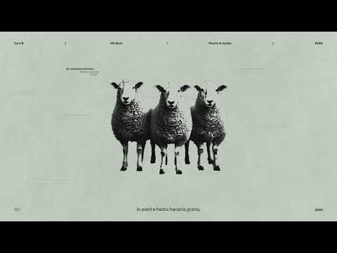 PIEZAS & JAYDER - DUAL