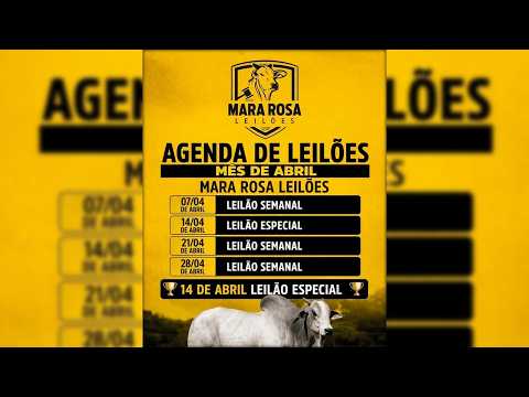 MARA ROSA LEILÕES - GOIÁS - LEILÃO DE GADO DE CORTE 28/04/2026