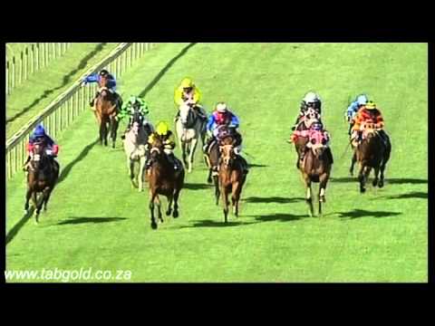 20160207 Scottsville Race 5 won by  GREAT RUMPUS