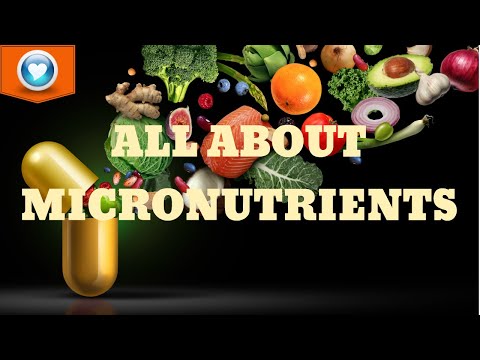 , title : 'Micronutrients:Types, Functions, Benefits & More| Micronutrientes:tipos, funciones, beneficios y más'