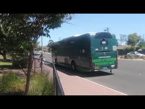 (Adelaide Metro) Torrens Transit Foton FTH12 Hydrogen Electric Fuel Cell Bus 1789