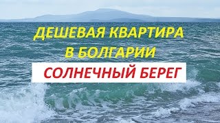 Дешевая квартира в Болгарии Солнечный Берег

Подробности #MalagaEiendom 

Продается недорогая квартира (студия) в Болгарии 400 метров до лучшего песчаного пляжа Cacao Beach. Полчаса пешком до исторического города Несебр (памятник