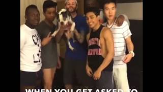 First World Problems Compilation By Piques