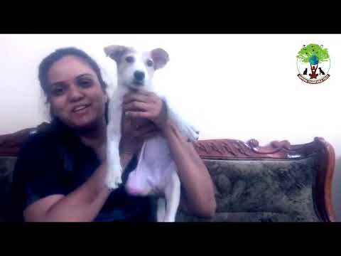 Karuna Charitable Trust