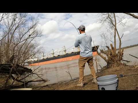 Bank Fishing for GIANT CATFISH on the Mississippi River (Catch and Cook)