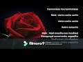 Nee Thoongum Nerathil En Kangal Thoongaadhu Song