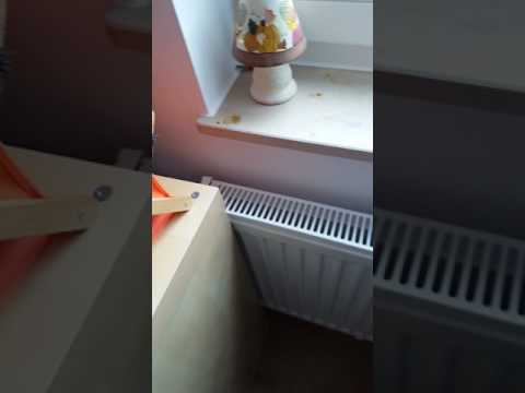 Radiatorer hemma hos torsdag 1 juni