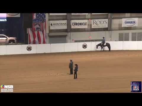 2021 Quarter Horse Congress 2yo Maiden Open Westner Pleasure Futurity Finals