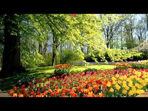 "QUE DARÍA YO" - DANNY RIVERA -