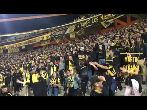 "â€œGallina te juro no me voy a olvidarâ€ - Hinchada de Peñarol (vs river)" Barra: Barra Amsterdam &bull; Club: Peñarol &bull; País: Uruguay