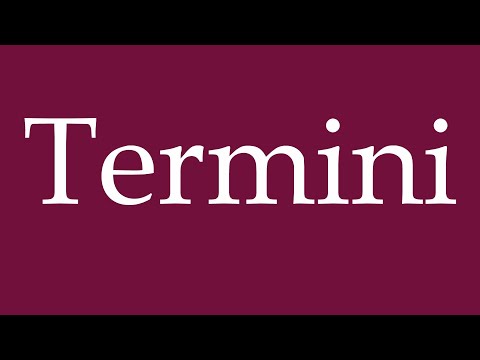 How to Pronounce ''Termini'' (Terms) Correctly in German
