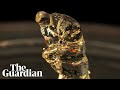 3D Printer Recreates Rodin S Thinker From Gloop Using Light And Liquid In Under Two Minutes