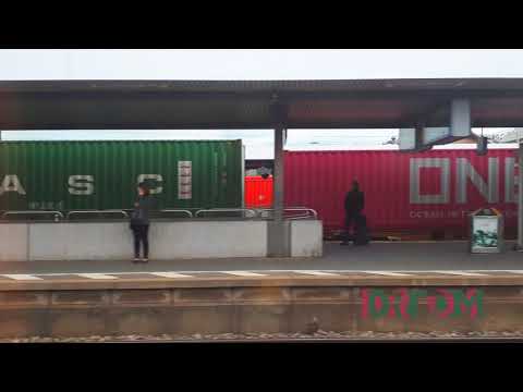 DrToM - 100/303 | Behringer Neutron, Korg MicroKorg, Akai MPX16, Yamaha YPT220, Arturia Drumbrute