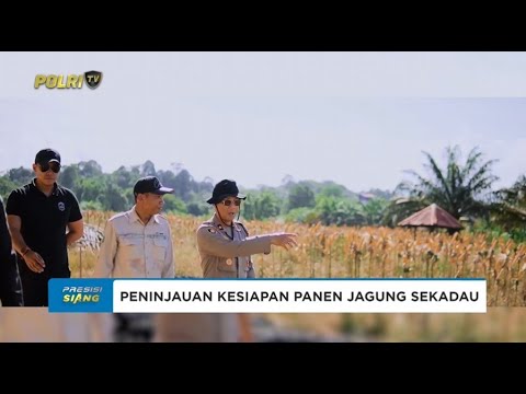 PENINJAUAN KESIAPAN PANEN RAYA JAGUNG DI SEKADAU