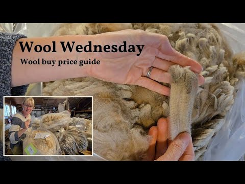 Wool BUY Wednesday. Buying raw wool fleeces, a basic guide to wool prices.