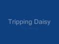 Tripping Daisy - Trip Along