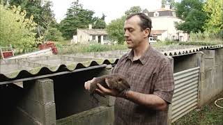 Thumbnail del capítulo