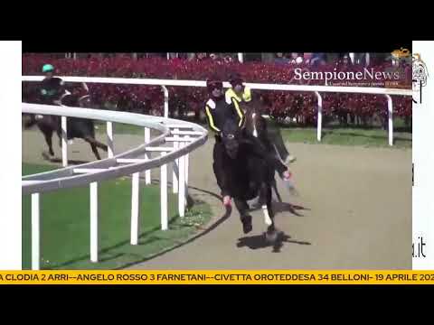 LEGNANO 2° CORSE DI ADDESTRAMENTO  X ANGLO ARABO 18 APRILE 2022