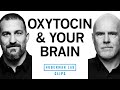 How Oxytocin Affects Attraction Love Social Behavior Dr Michael Platt Dr Andrew Huberman
