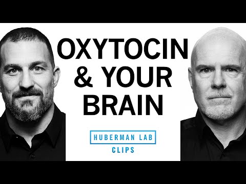 How Oxytocin Affects Attraction Love and Social Behavior - Dr Michael Platt and Dr Andrew Huberman