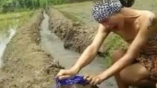 Download lagu Lucu banget nyesel kalau gak nonton.. mp3 Download lagu Lucu banget nyesel kalau gak nonton.. mp3