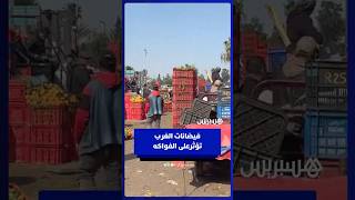 فيضانات الغرب تربك الأسواق وتؤثر على أسعار الفواكه thumbnail