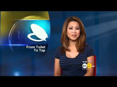 Leyna Nguyen 2012/02/10 KCAL9 HD; Blue striped dress