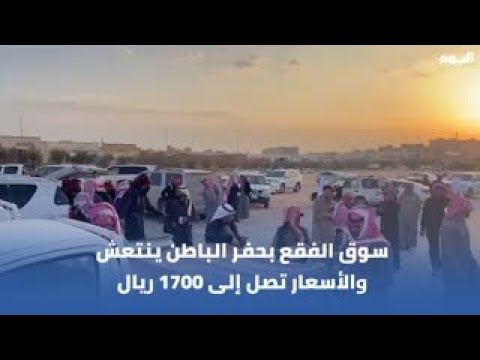 سوق الفقع بحفر الباطن ينتعش بعد بداية ظهورة بشمال المملكة والأسعار تصل لـ 1700 ريال