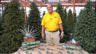 Holiday Lighting Solutions ENGLISH GARDENS