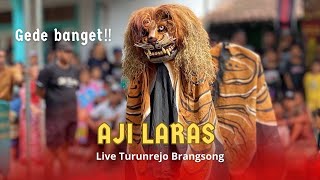 Download lagu BARONGAN KENDAL AJI LARAS LIVE TURUNREJO BRANGSONG mp3