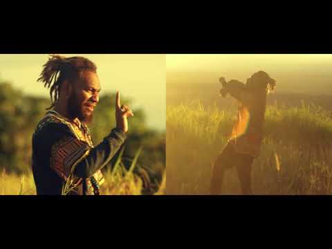 DEZINE + FIDZ - Never Mind (Official Music Video)