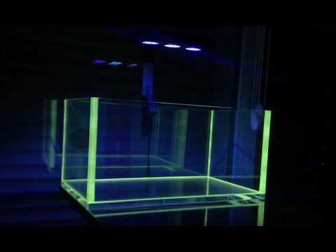 Setting up my new glowing Voodoo Reef Tank by New Wave Concepts
