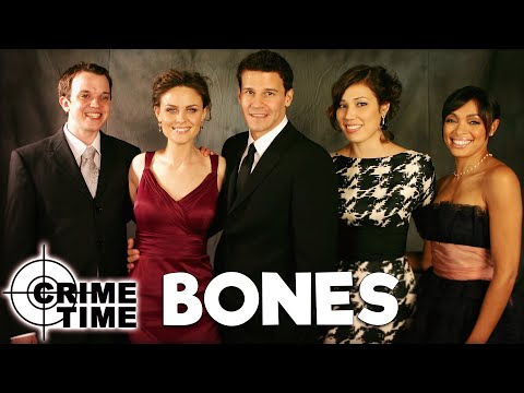 „Bones“-Stars: Das machen sie heute • PROMIPOOL