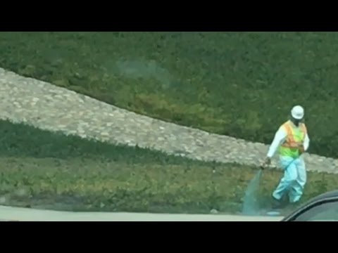 TDW 1446 - Painting The Grass ?