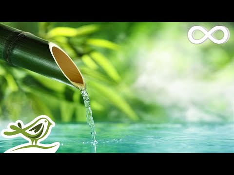 Relaxing Music & Water Sounds: Calm Piano Music, Sleep Music, Peaceful Music ★143