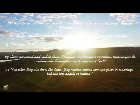 Daily Bible Verses(English)|Mark 12:1-44 #gospel #gospelofmark #bibleverse #motivation