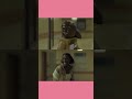 Lego Insecure F Them Kids Insecure Lego Funny Hbo Issarae