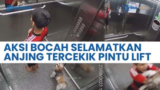Aksi Sigap Bocah Bergelantungan Selamatkan Anjingnya seusai Talinya Terjebak di Pintu Lift