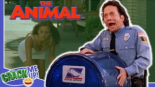 ROB SCHNEIDER can&#39;t CONTROL his ANIMAL INSTINCTS | The Animal