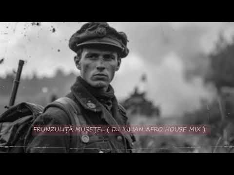 Frunzuliță mușețel ( Dj iulian afro remix 2026 )