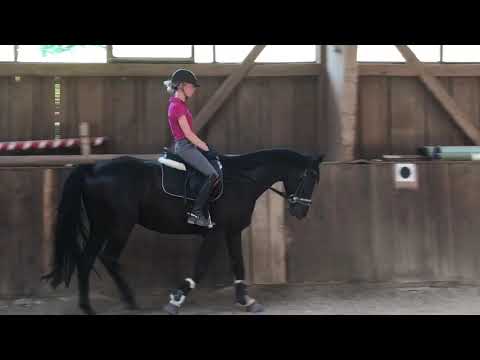 Faunus 07.2020 vor Abholung bei Nicole Hofmann Video 6 -  IMG 1310