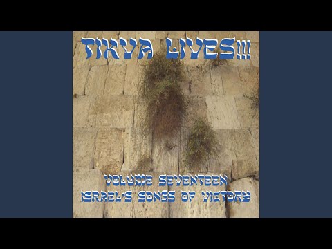 Yismach Moshe