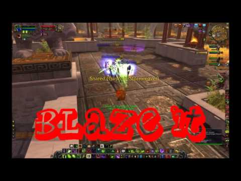 Íll 1 - THE NEW DRAKEDOG