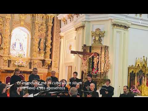 Nigra sum sed formosa - Tomás Luis de Victoria