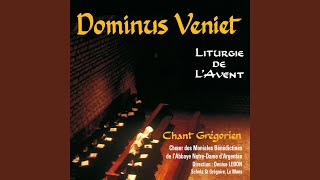 Alleluia, veni, Domine