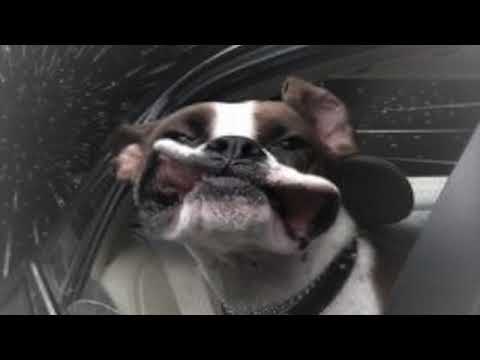 Breathe - Steve Sacre Aka. - '20ThousandHurts'.